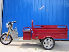 徐州达尔康草原电动三轮车图3