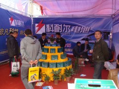 丰县第四届电动三轮车及零配件展销会