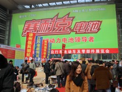 山东国际电动车展