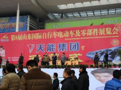 山东国际电动车展