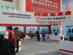 山东国际电动车展