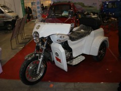 山东国际电动车展