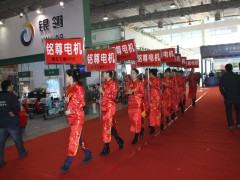 山东国际电动车展