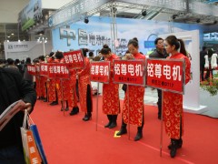 山东国际电动车展