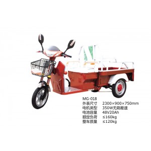 MG-018