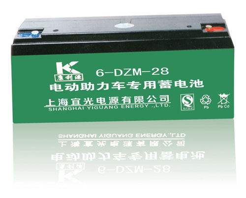电动车助力车蓄电池6-DZM-28
