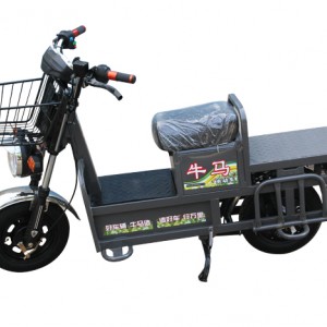 牛马电动车-03