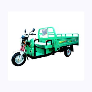 新鸽电动车